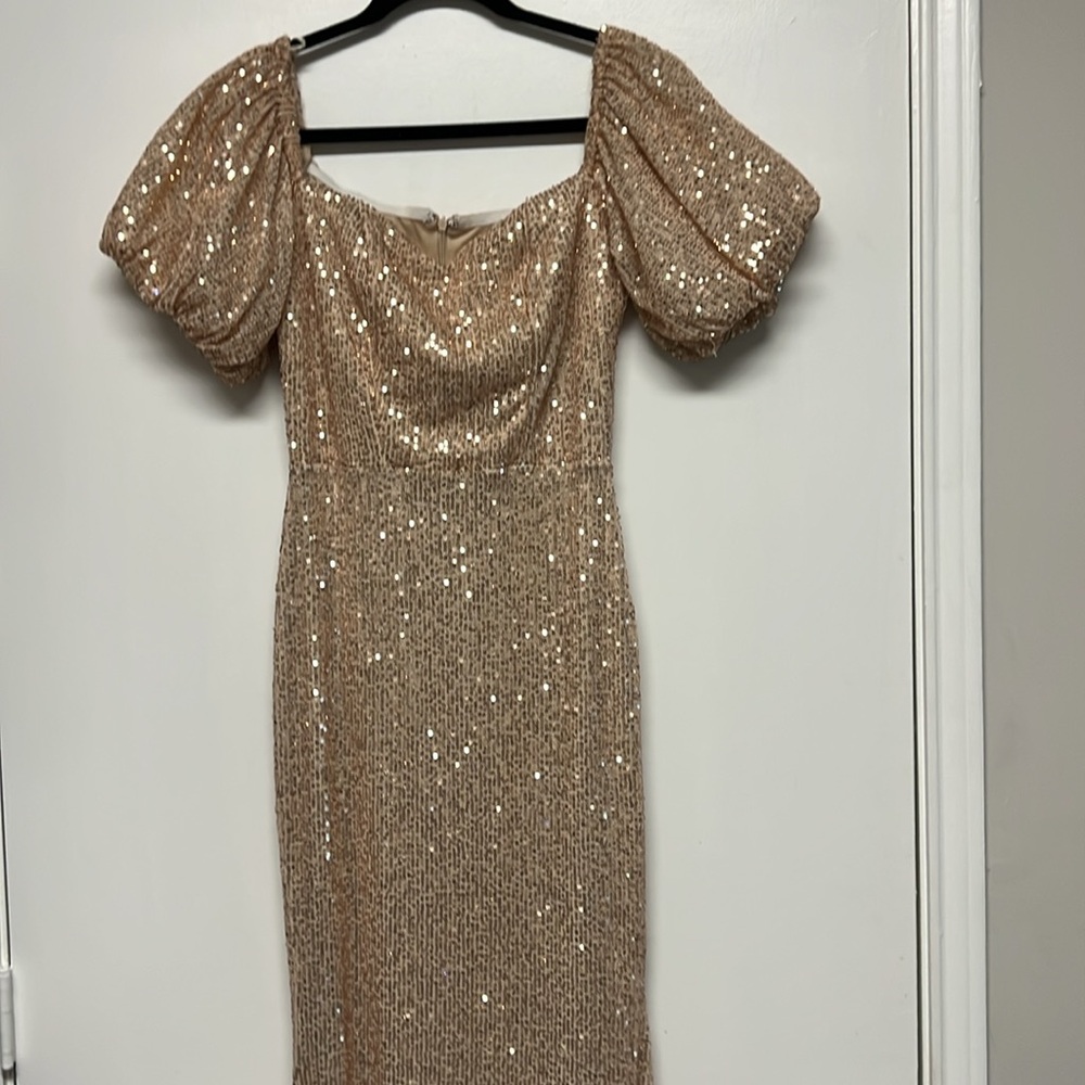 NWOT : Stilleto - Champagne Sequin Maxi Dress